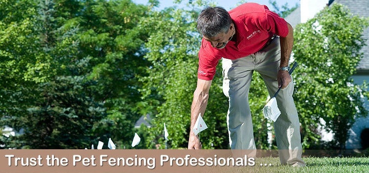 We_Are_Professional_Dog_Fence_Installers