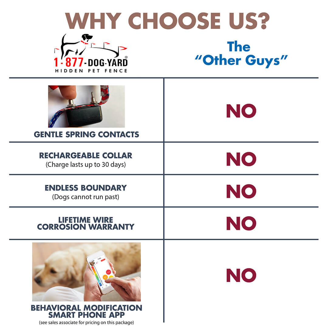 Why Choose Us (BG)