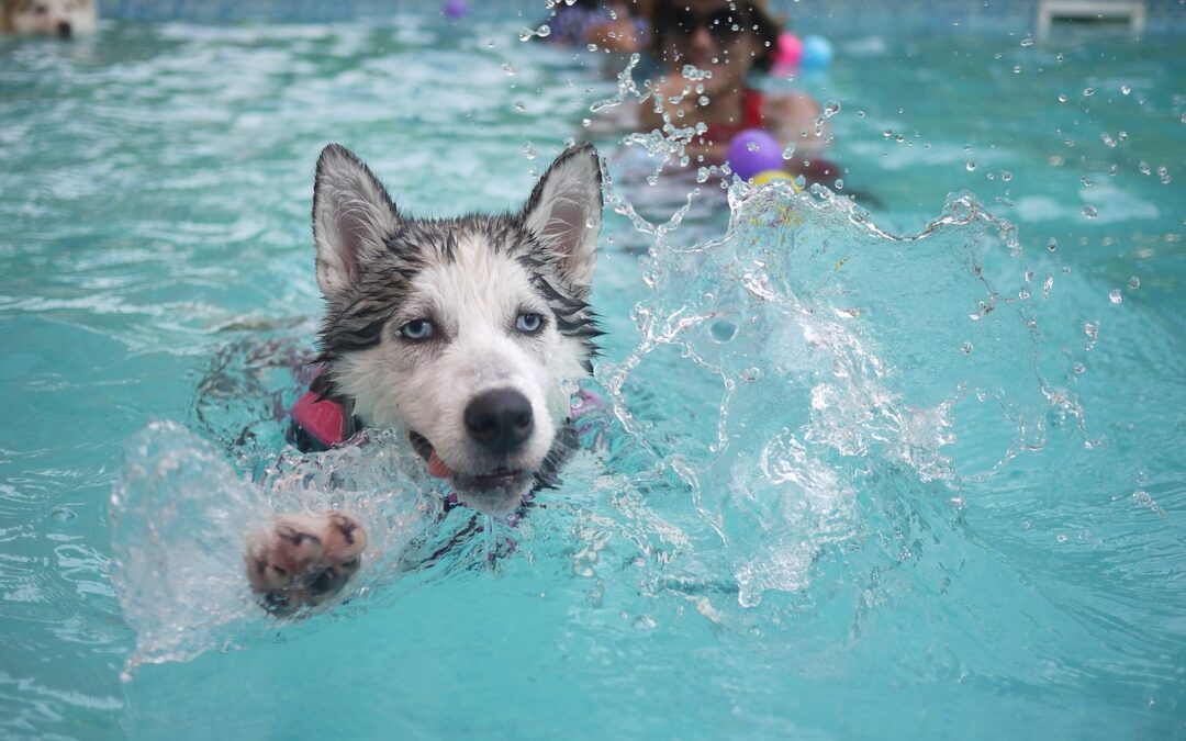 Making a Splash