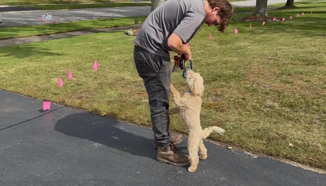 hidden pet fence professional boundary training